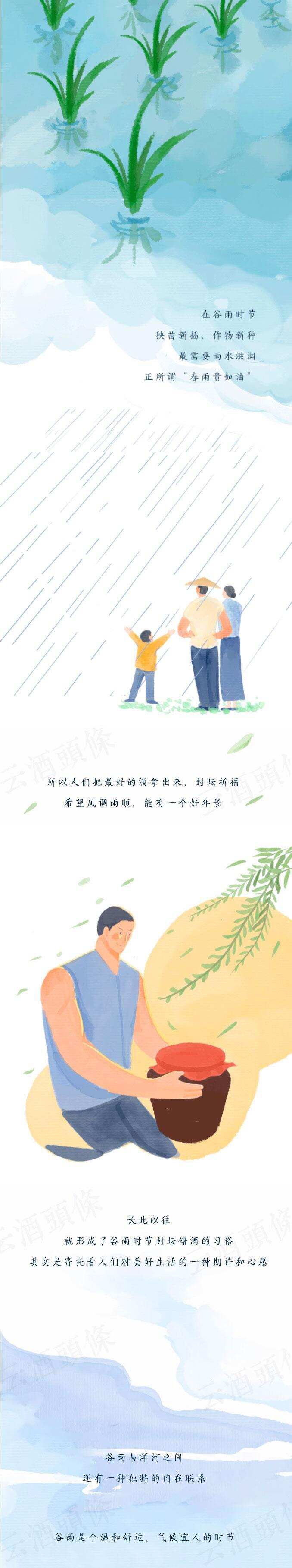 谷雨与洋河，这不是偶然