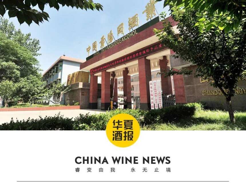 景阳冈酒业破解历史之谜