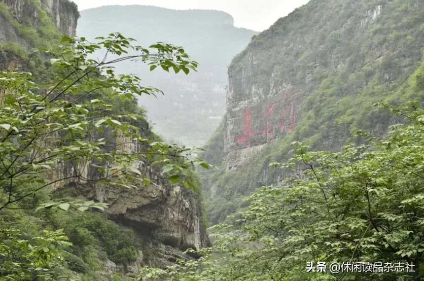 李寻谈酒：茅台酒异地移植为什么失败？