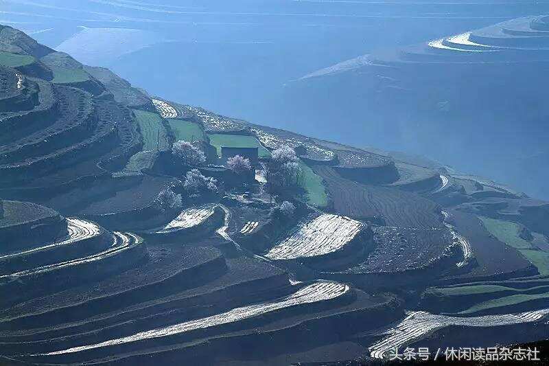 梯田和杏花搭配，在宁夏彭阳看到别样的风景