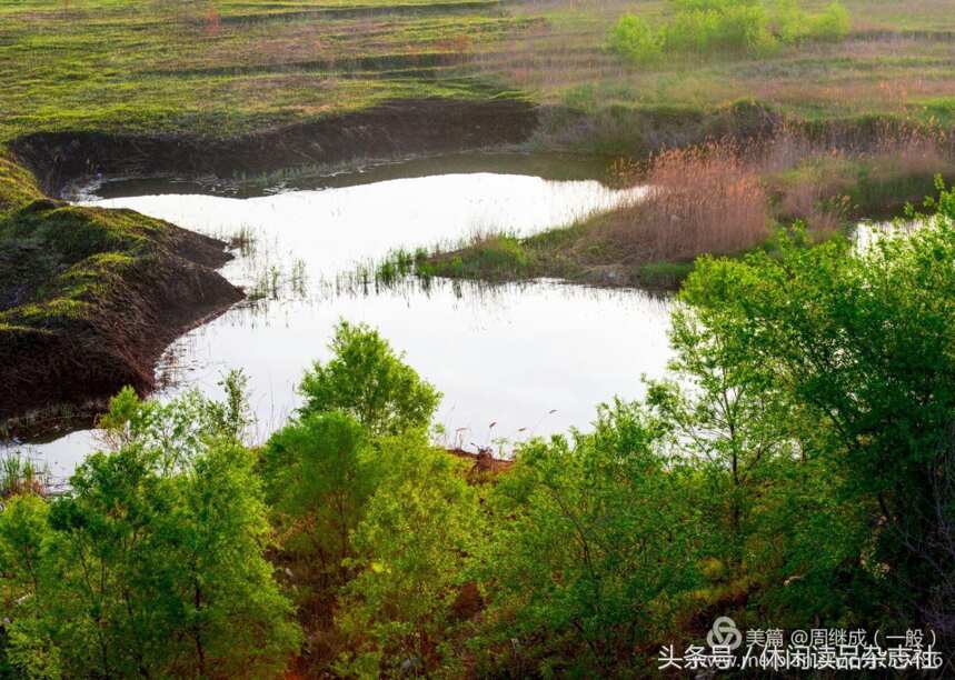 哈尔滨市道外区的狗岛小景