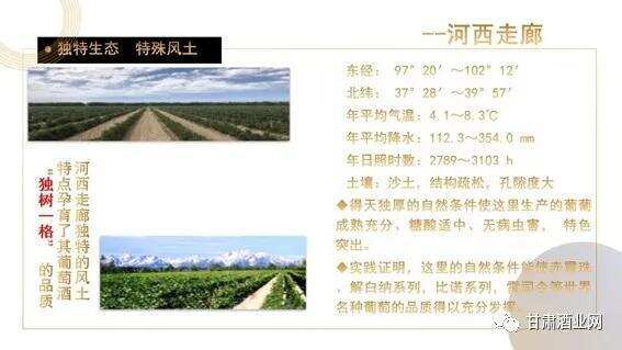 甘肃“河西走廊产区”葡萄酒产业