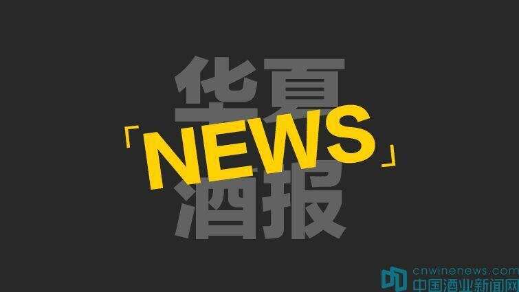 甲子窖向武汉市慈善总会捐款100万元