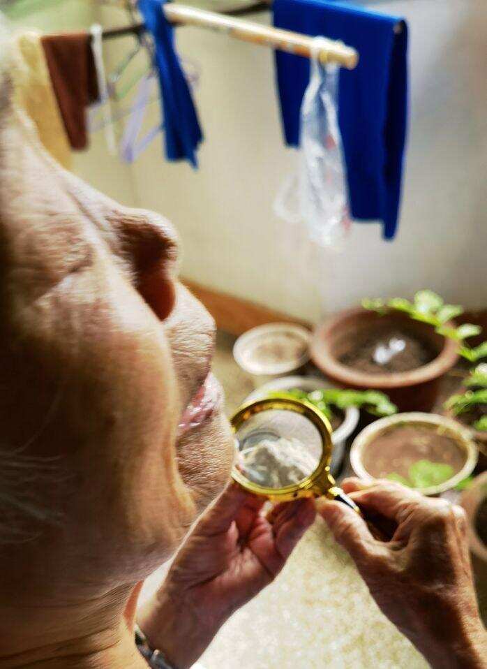 真正的古法酿造！其实茅台，五粮液，泸州老窖其实早已失传