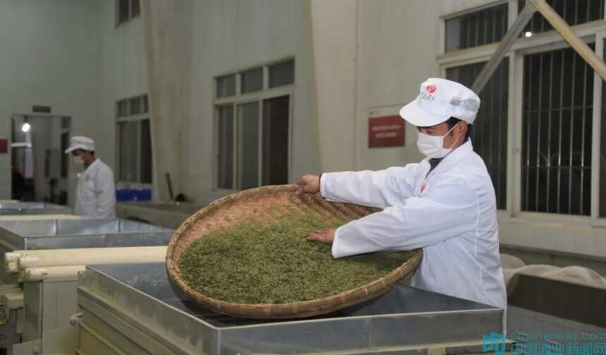 五粮液：两亿资金助茶农疫期春茶盼丰收