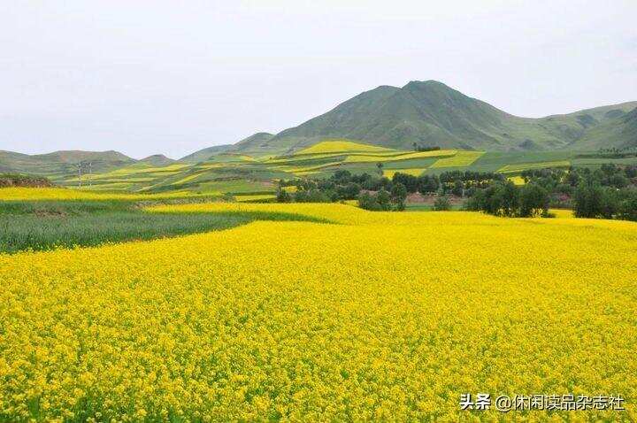 品酒笔记 || 天佑德•德天下与汾酒青花瓷30年、飞天茅台比较