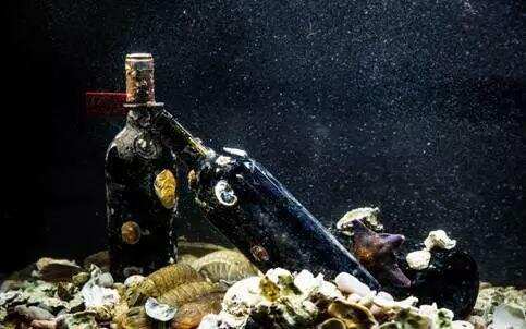 深海沉浸365天的葡萄酒是什么味道？首届海藏酒节在蓬莱开启