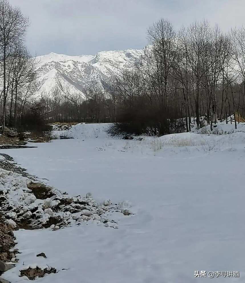 品酒笔记 || 青稞酒，雪山之巅绽放的芬芳