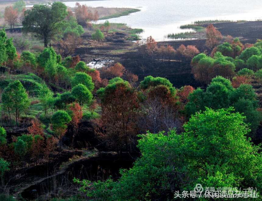 哈尔滨市道外区的狗岛小景