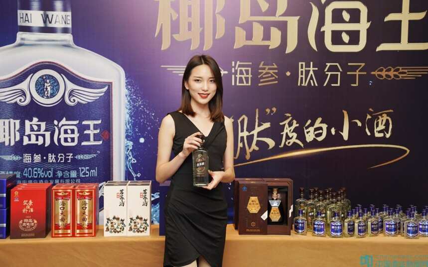 2019健康酒产业峰会暨椰岛酒业财富说明会在郑州举行