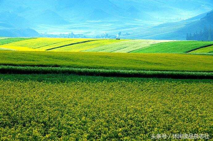 大美青海，看祁连风景茶卡盐湖