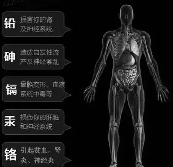 金属硫蛋白｜喝过的酱酒都种下了健康的因