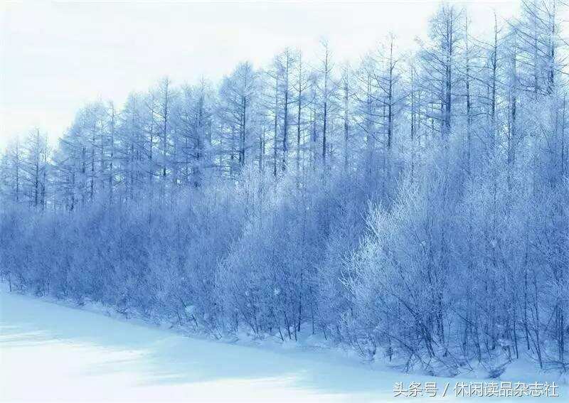 烈日炎炎，拍雪景解酷暑