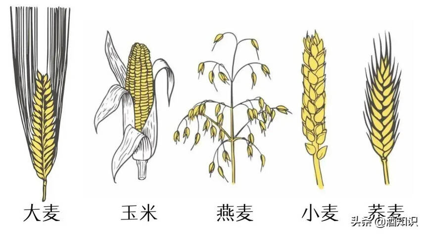 全面盘点威士忌种类：总有一款适合你