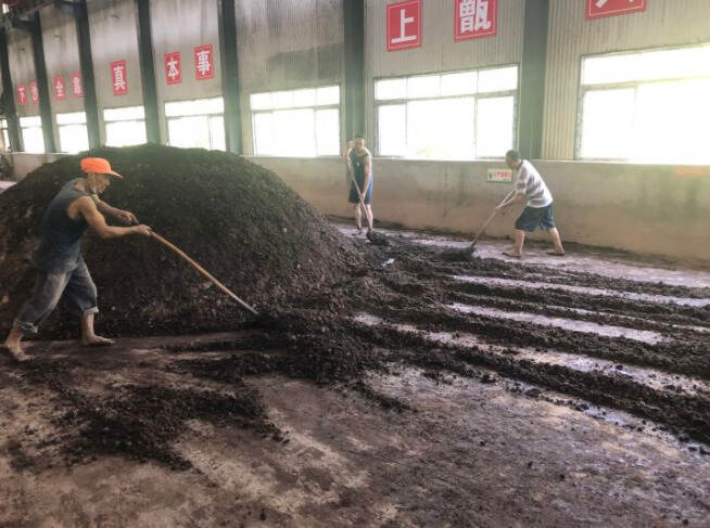 茅台镇酿酒过后的酒糟不知去处，都用来干什么了？做成了酒精酒？