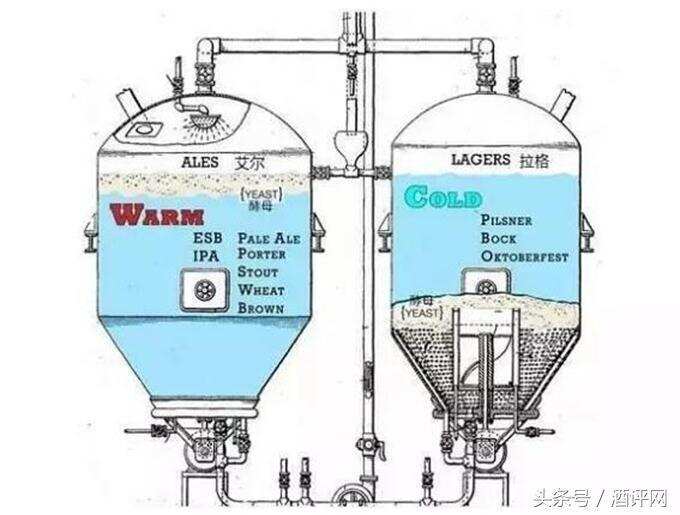 喝了这么多年酒，今天终于分清楚了精酿啤酒和普通啤酒的区别！