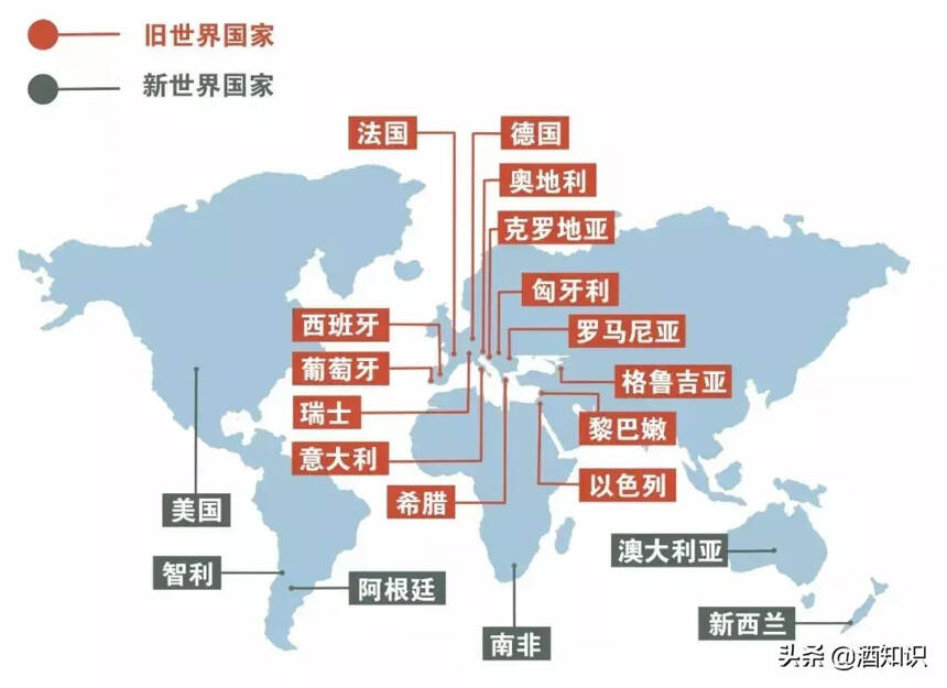 这一次，终于能分清楚新、旧世界的葡萄酒到底有什么不同了