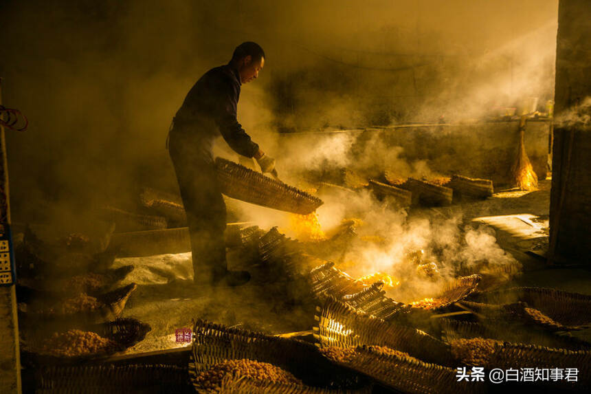 盘点4大物美价廉的“小茅台”，款款口感惊艳，可惜知道的人不多