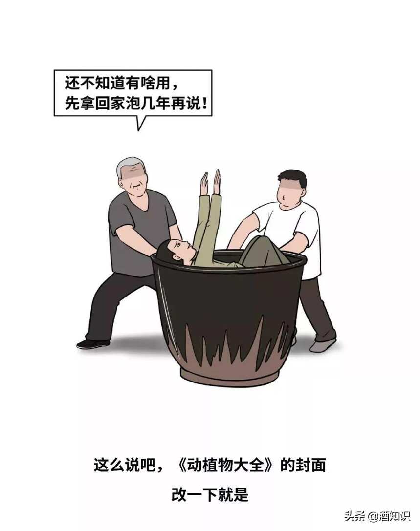 广东人喝酒迷惑行为大赏