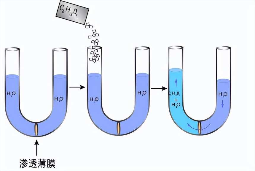 坊间流传的伪命题：喝得了十瓶啤酒，却喝不了十瓶水，为什么呢？