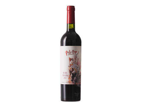 阿根廷门多萨产区银谷赤霞珠干红葡萄酒一瓶价格多少钱？