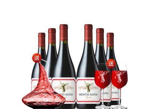 智利智象安第斯佳美娜干红葡萄酒750ml6瓶整箱价格多少钱？