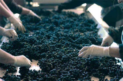 西班牙葡萄酒世界必知的十件事一「西班牙红酒知识」