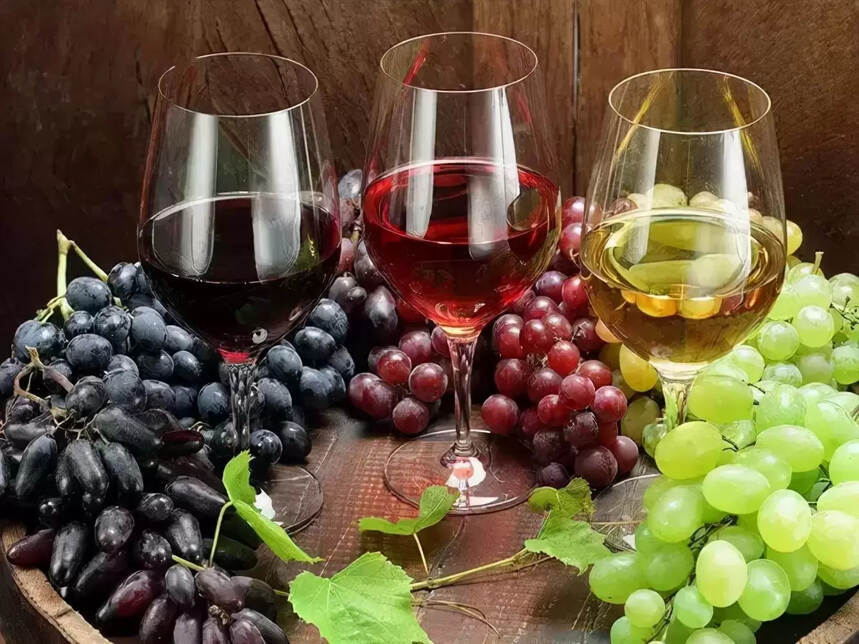 平时吃的葡萄能酿葡萄酒吗（为什么平常吃的葡萄不适合酿酒 ）