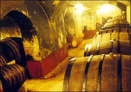 葡萄酒文化历史悠久并非舶来品