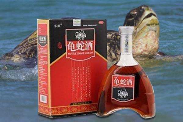 龟蛇酒是一款怎么样的酒？