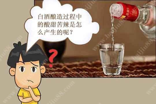 白酒酿造过程中的“酸甜苦辣”是怎么产生的？