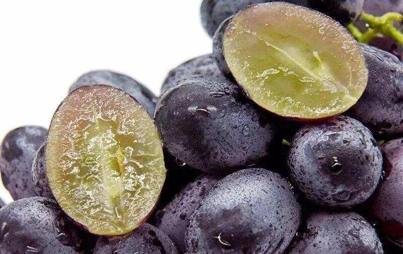 解惑丨葡萄上的“白霜”是什么？能吃吗？