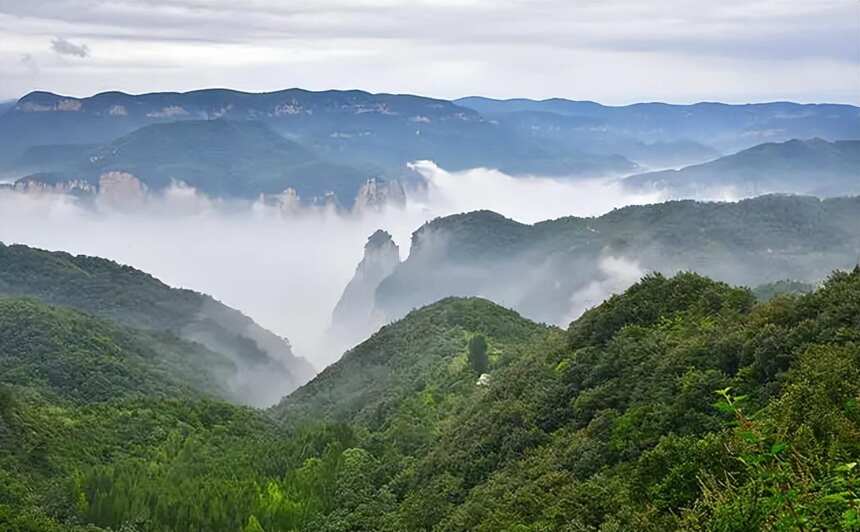 今天才知道，河南竟然有2大“中国名酒”，为何如今不见其身影？