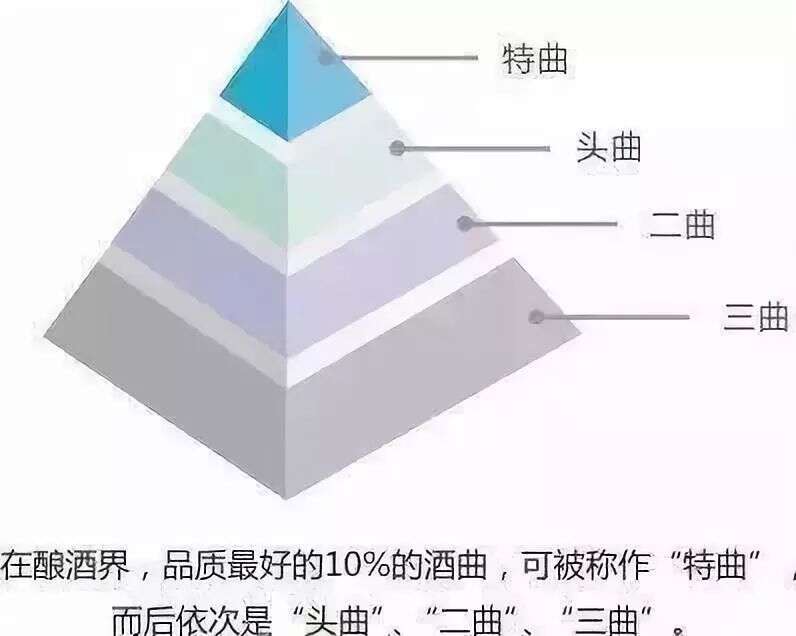 白酒的“香型”到底是由什么决定的？