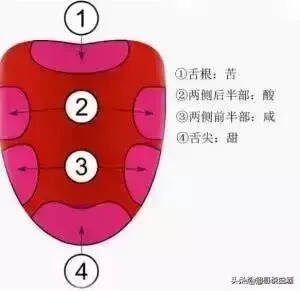 白酒有苦味是正常的，好的白酒都会有一定的苦度