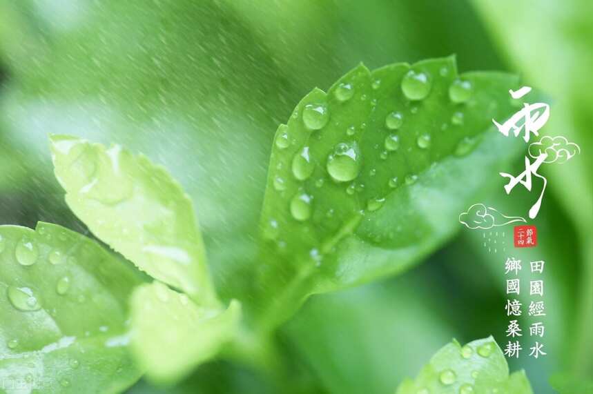 “雨水”如约而至，春已到，佳酿醇