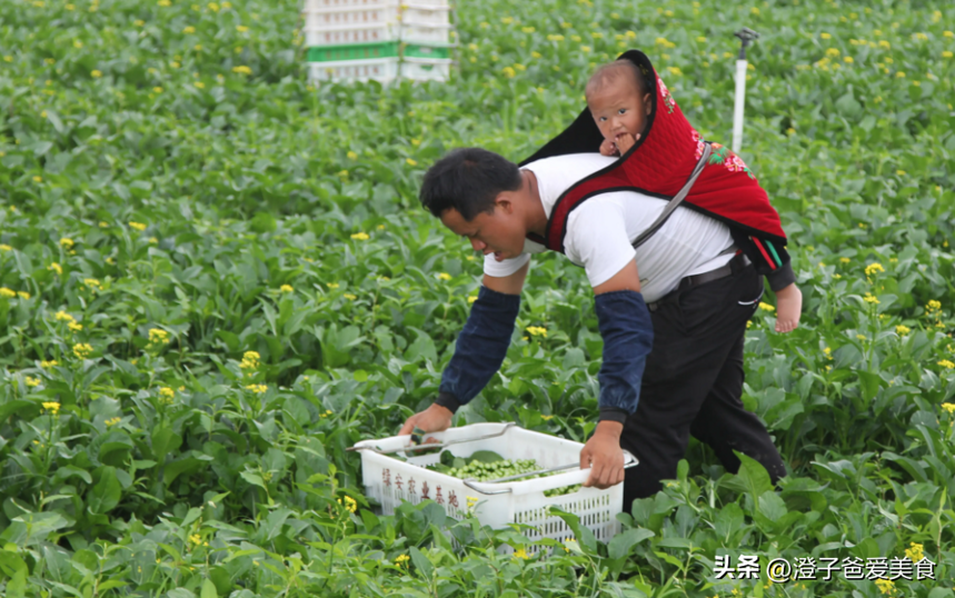 70岁大爷做寿，来了不速之客，只带一瓶酒却敢坐主桌，为何？