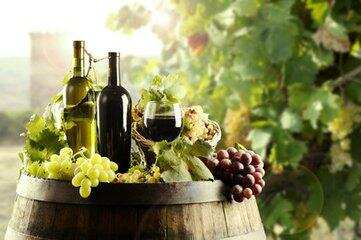 喝葡萄酒的好处多多：能减肥、提高记忆力，还可以消除粉刺