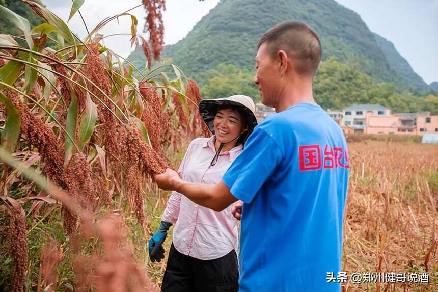 剖析国台酒业的成长密码，你会发现这些推动其发展的“金钥匙”