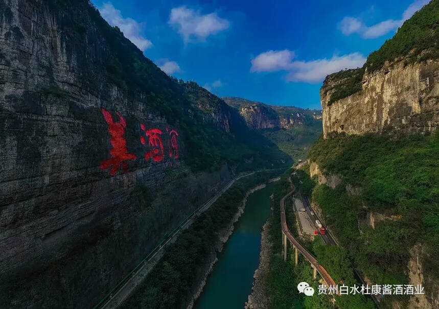 白水杜康酱香型白酒来了