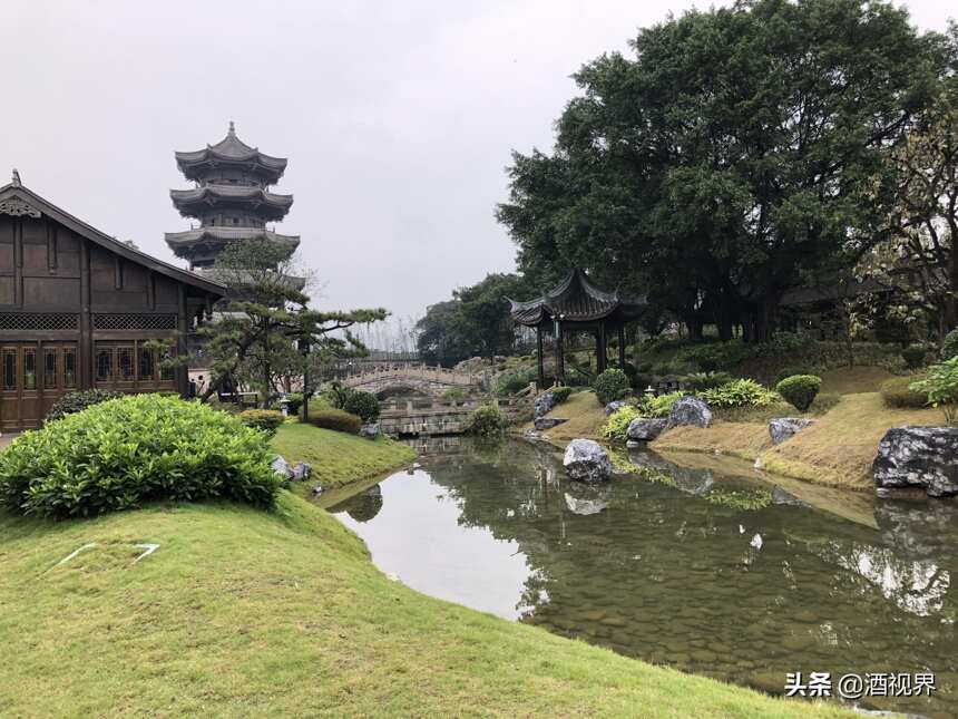 “双优”酿出宜宾长江“零公里”酿酒生态圈