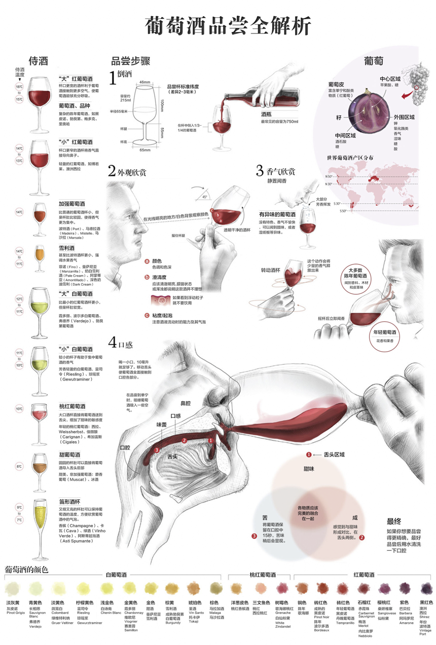 掌握了这十张图，葡萄酒保证你就入门了