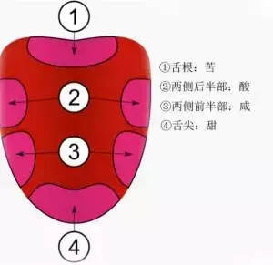 品尝白酒有苦味是什么原因？