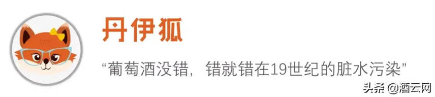 舌尖之毒：19世纪的葡萄酒“毒”死了贝多芬？| 酒·斛说