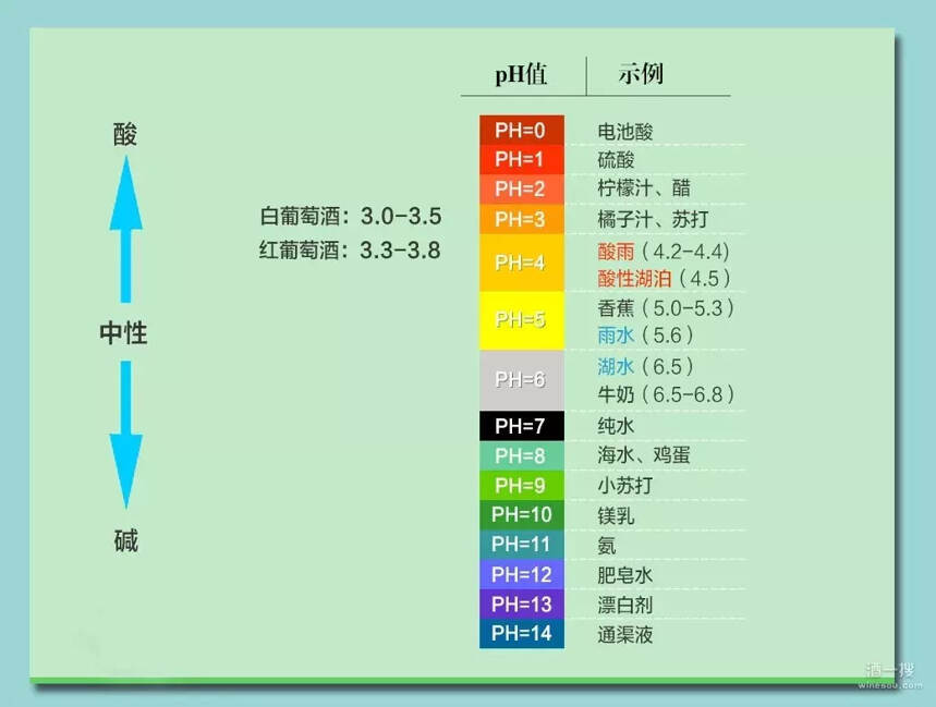 喝红酒怕酸？三招儿教你选酒时避开高酸！