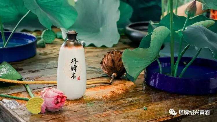 塔牌黄酒凭什么这么牛？看完这篇文章你就服气了