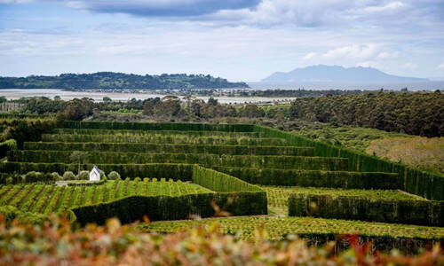 奥马哈湾酒庄 Omaha Bay Vineyard