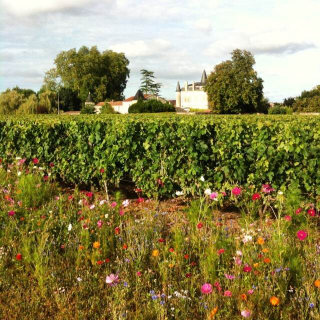 拉梦莎酒庄 Chateau Lamothe-Cissac