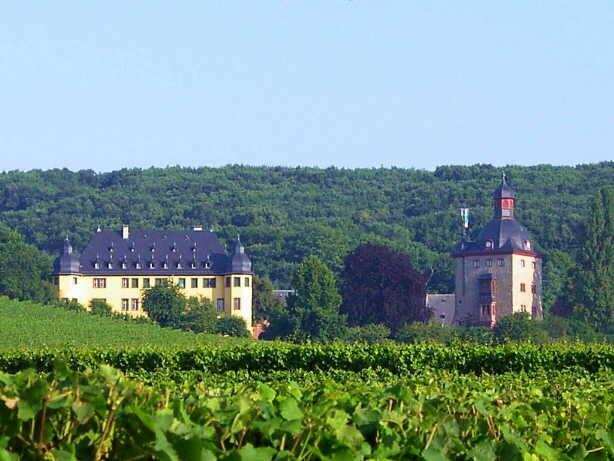 沃尔莱茨酒庄 Schloss Vollrads