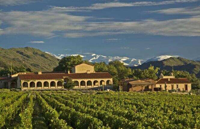 安第酒庄 Andean Vineyards